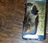 Samsung stops sales of exploding smartphones