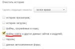 Attiva i cookie nel browser Yandex